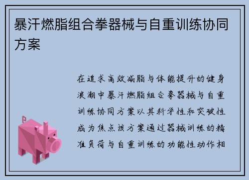 暴汗燃脂组合拳器械与自重训练协同方案
